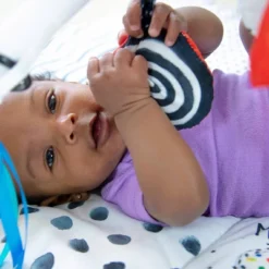 Sassy Toys Look & Learn Gift Set - 4pc -Chicco Kids Shop GUEST 2c007aa3 0149 49d1 8919 65aef95f701a