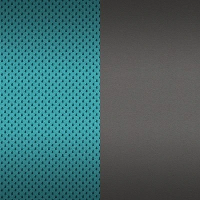 Chicco GoFit Backless Booster Car Seat 8 Chicco GoFit Backless Booster Car Seat - Image 8