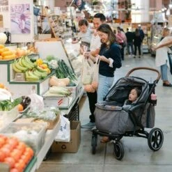 Larktale Sprout Single-to-Double Stroller/Wagon - Expandable And Foldable Stroller Wagon With Canopy, Storage, And Accessories - Nightcliff Stone -Chicco Kids Shop GUEST 483f195b e267 40ca 8807 c20c3f2838dd