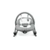 Baby Delight Aura Deluxe Bouncer & Rocker