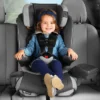 Chicco MyFit Zip Air Harness Booster Car Seat - Q Collection