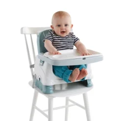 Fisher Price Fisher-Price Healthy Care Deluxe Booster Seat