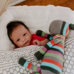 Pebble Stripey Donkey Rattle 10 Pebble Stripey Donkey Rattle -Chicco Kids Shop GUEST ba5ee79d 9291 4599 8d15 137f8b68ec75