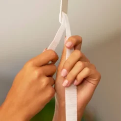 Evenflo Exersaucer Tiny Tropics 2-in-1 Baby Seat + Doorway Jumper -Chicco Kids Shop GUEST ce672ea0 46ec 41c5 a16c a3d8a645645a