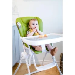 Joovy Nook - Southern Sea Otter National Park Foundation Edition, Greenamole -Chicco Kids Shop GUEST d22aab8f 7909 4422 95de 5422afa2e4cc